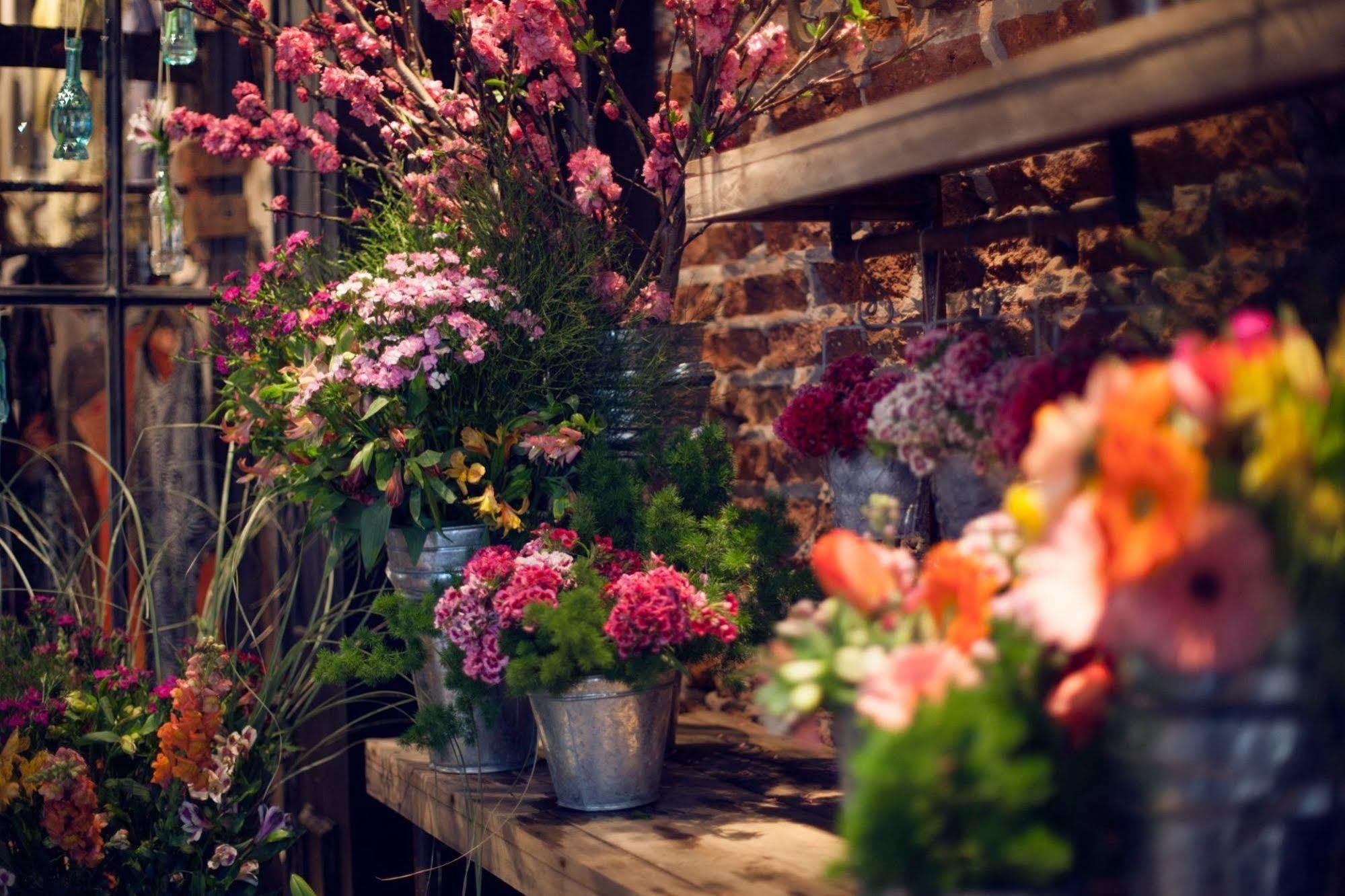 ホテル Casa Chic Palermo Soho ブエノスアイレス エクステリア 写真